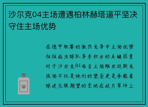 沙尔克04主场遭遇柏林赫塔逼平坚决守住主场优势