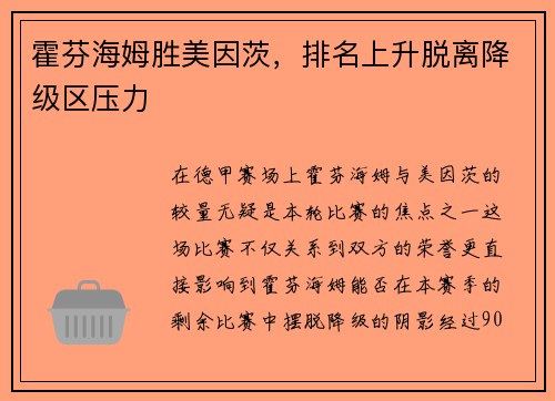 霍芬海姆胜美因茨，排名上升脱离降级区压力